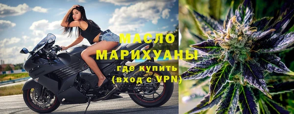 МДПВ Богородск