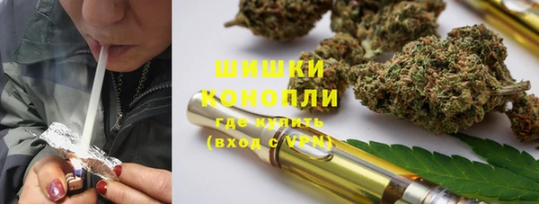 гидропоника Богданович