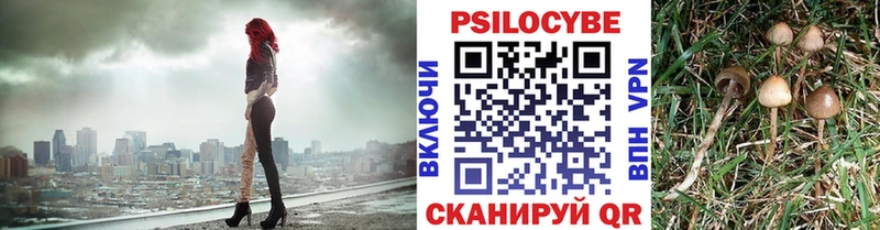 Псилоцибиновые грибы мухоморы  даркнет сайт  Комсомольск 
